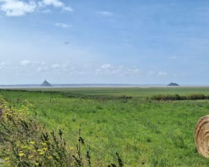 Baie du Mont-Saint-Michel et fabuleux panoramas - Saint-Léonard - 14