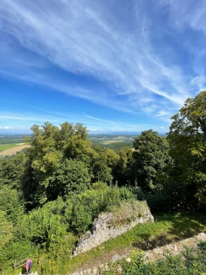 Ferrette : grotte des nains et panorama géant - Ferrette - 12