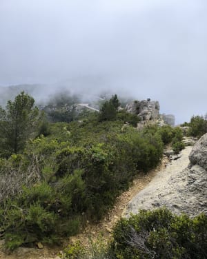 Trail sur les crêtes du Cap Canaille par le bec de l'Aigle - La Ciotat - 6