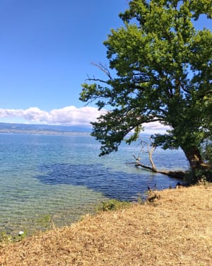 Sortie Séchex et bord du lac - Margencel - 7