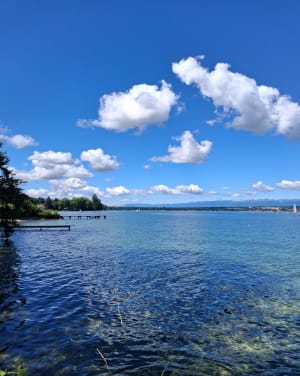 Sortie Séchex et bord du lac - Margencel - 9