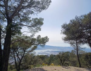Le sommet du Mont Faron depuis Toulon à VTT - Toulon - 7