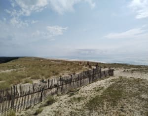 Réserve de la Maillouèyre : dunes, forêts et vues sur la mer - Sylvie - 27