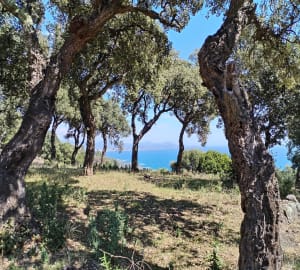 Belle randonnée au vallon de la Gaillarde - Roquebrune-sur-Argens - 41