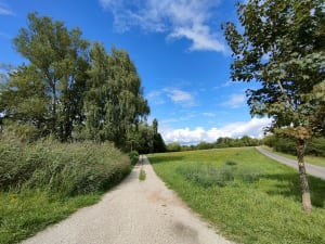 Rando du promeneur - Hoste - 5
