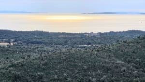 Lac de Trapan et son écrin de verdure - Bormes-les-Mimosas - 40
