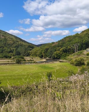 Randonnée au cœur des paysages boisés de Thilay - Thilay - 2