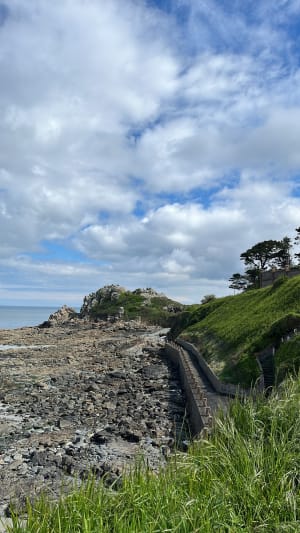 Balade cool de la pointe du château en passant par la ville. - Perros-Guirec - 24