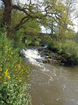 Belle randonnée en Vallée de Néal - Plouasne - 13