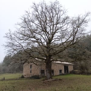 Balade le long de L'Issoire - Esse - 5