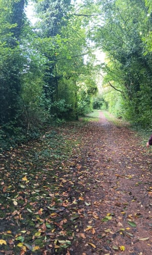 Boucle autour d'Abscon via les carrières - Abscon - 3