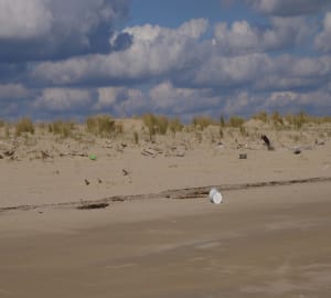 Phare de la coubre - La Tremblade - 14