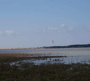 Phare de la coubre - La Tremblade - 17