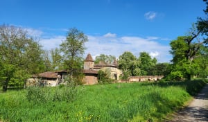 Boucle de la Marcaissone - Saint-Orens-de-Gameville - 7