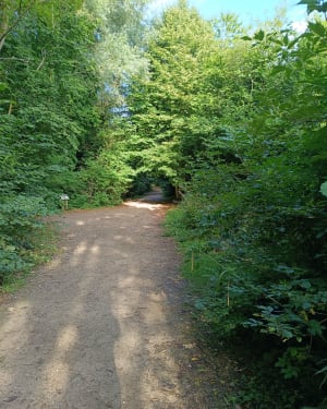 Aller-retour de Wimille à Wimereux - Wimille - 7