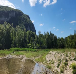Tour de l’étang de La Roize depuis le centre de Voreppe - Voreppe - 6
