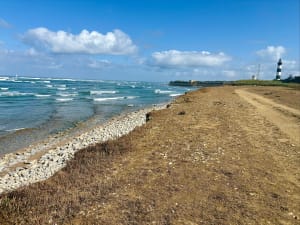 La petite boucle de la pointe - Saint-Denis-d'Oléron - 17