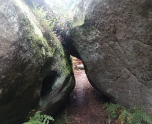 Exploration en forêt de Fontainebleau et nombreux trésors - Fontainebleau - 35