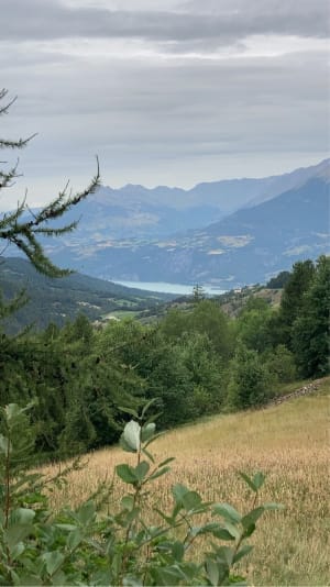 Sentier "Lou Pastre" petite boucle. - Les Orres - 4