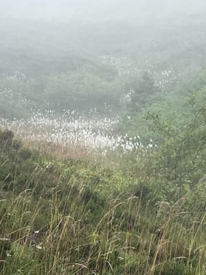 Au cœur du Val d'Azin et paysages à couper le souffle - Arbéost - 22