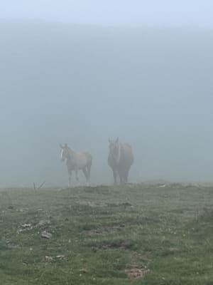 Au cœur du Val d'Azin et paysages à couper le souffle - Arbéost - 23