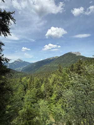 Boucle des Emeindras - Le Sappey-en-Chartreuse - 3