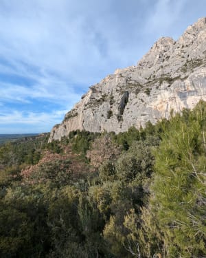 Saint-Antonin-sur-Bayon en de ontdekking van zijn oppidum - Saint-Antonin-sur-Bayon - 34