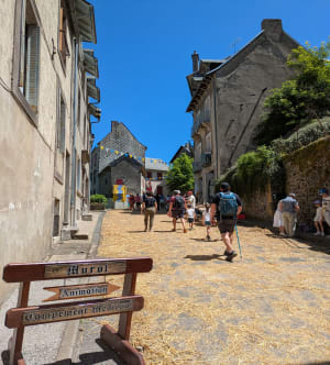 Ontsnap naar het Chambonmeer en maak een wandeling vol geschiedenis - Chambon-sur-Lac - 39