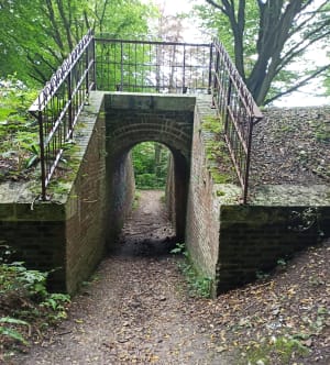 Balade de Duclair à Saint Paul - Le Trait - 16