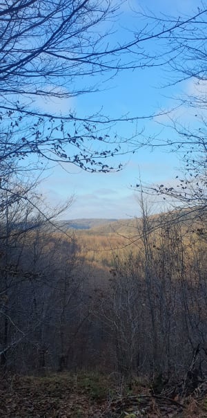 Le Claon, Ballade dans la forêt de Lachalade - Agéjiè  - 7