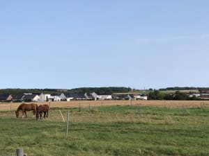 Belle Balade champêtre et belle découverte de la ferme - Loos-en-Gohelle - 11