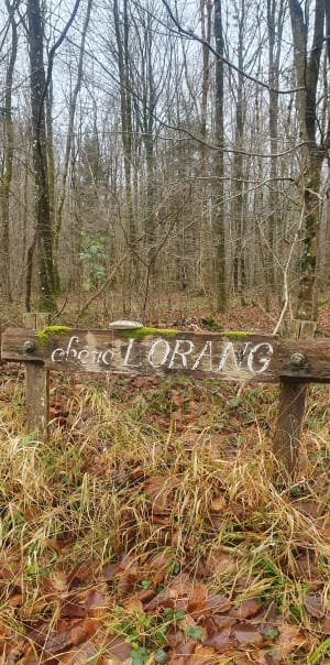 Le Claon, Ballade dans la forêt de Lachalade - Agéjiè  - 8