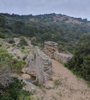 Grimaud : balade 5 étoiles autour du château - Grimaud - 8