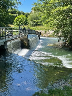 Grand tour des bords de Sèvre à Niort - Niort - 5