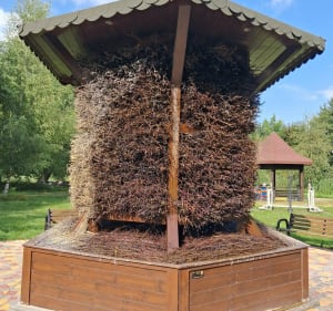 Zwiedzanie Iławy i okolice - Iława - 2