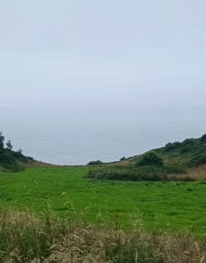 Fécamp, route par Grainval, retour plage - Fécamp - 19