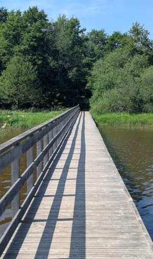 Autour du lac de Saint-Agnan - Saint-Agnan - 12
