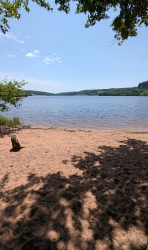 Autour du lac de Saint-Agnan - Saint-Agnan - 13