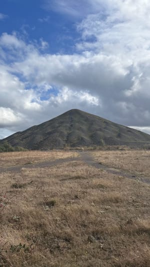Le terril de Loos-en-Gohelle - Loos-en-Gohelle - 19