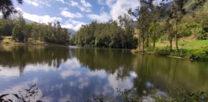 La mare aux poules d'eau. - Salazie - 27