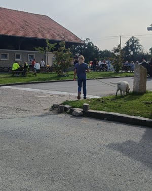 A la rencontre de la fée d'Argouges - Vaux-sur-Aure - 15