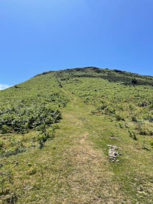 Beklimming van de berg Ursuya vanuit Hasparren - Hasparren - 15