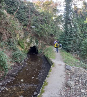 Le Canal d'Ille-sur-Têt - Ille-sur-Têt - 36