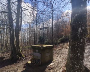 Entre le col de la Luère et la Croix du Ban en forêt - Pollionnay - 3