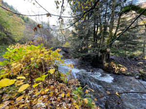 Excursion au fil de la Dordogne et à la découverte des massifs du Sancy - MONT-DORE - 3