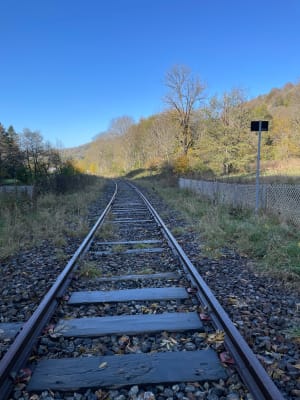 Excursion au fil de la Dordogne et à la découverte des massifs du Sancy - MONT-DORE - 4