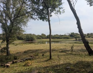 Les dunes de l'Authies - Céline - 6