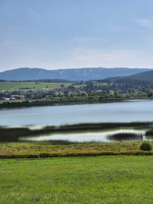 Boucle du lac de Remoray et nature foisonnante - Remoray-Boujeons - 3