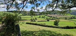 Randonnée au départ de Barbirey-sur-Ouche - Barbirey-sur-Ouche - 11