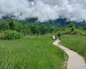 Sentier du Bout du lac d'Annecy depuis la plage - SAMIR - 9